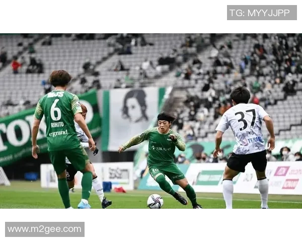 柏太阳神与鹿岛鹿角历史交锋记录分析与战绩回顾